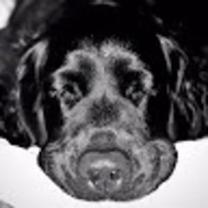 Meet your Posher, Ian